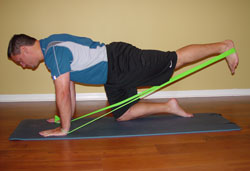Quadruped Hip Extension Pilates Exercise