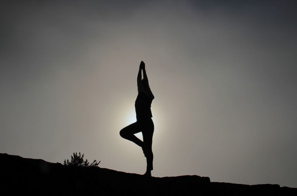 Zobha ...Every Movement, Every Moment