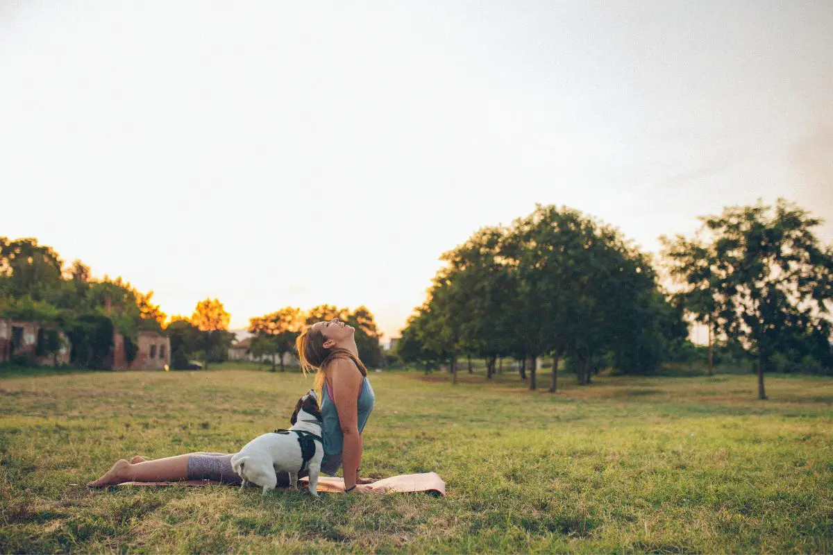 Upward dog